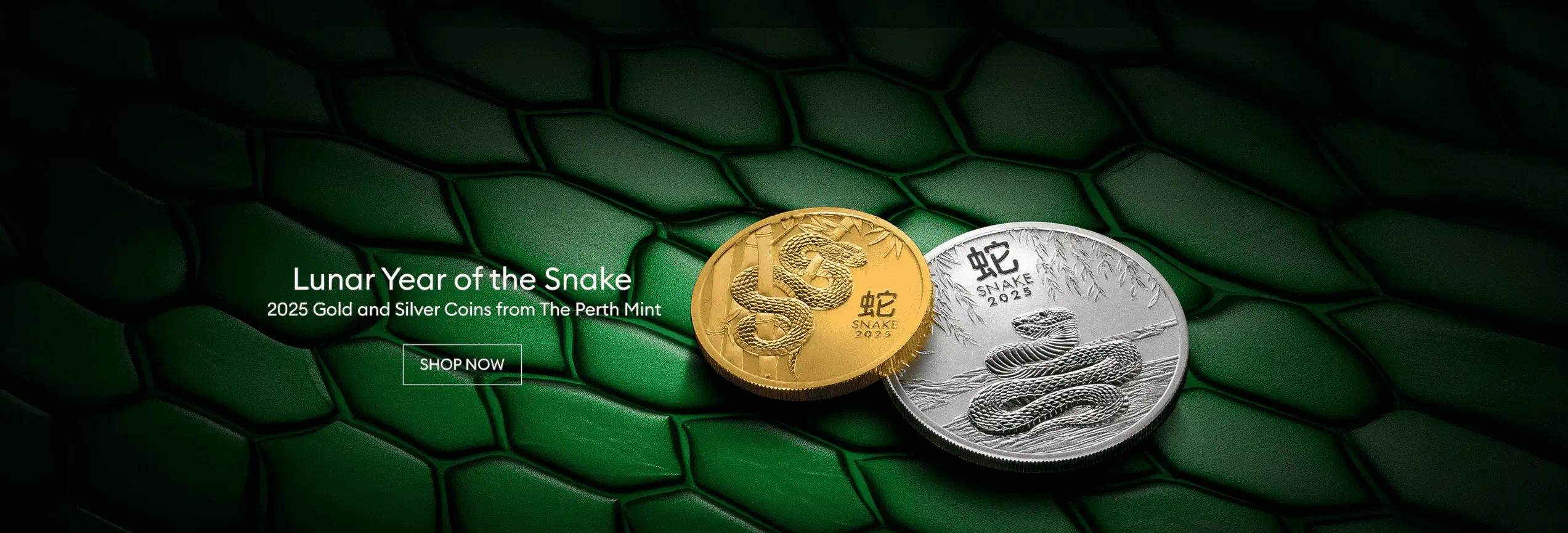 The 2025 Gold and Silver Lunar Year of the Snake Coins on top of seemingly a green serpent's skin.