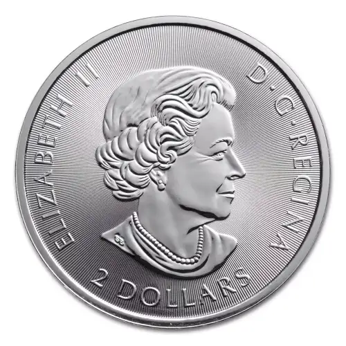 1/2 oz RCM Silver Polar Bear - 2018 (4)