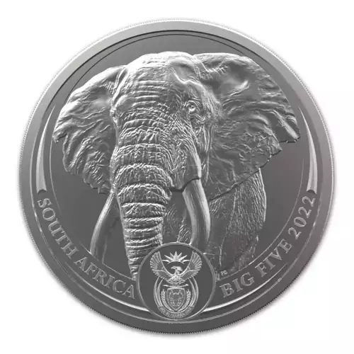 1oz South African Platinum Elephant - Backdated