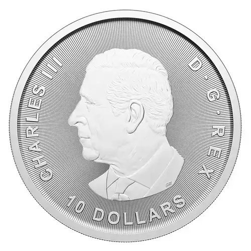 2 oz RCM Silver Bull & Bear - 2025 (3)