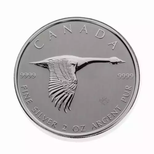 2 oz RCM Silver Goose Silver Coin - 2020 (2)