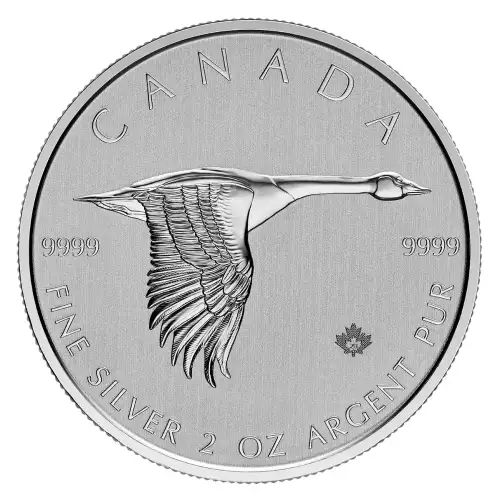 2 oz RCM Silver Goose Silver Coin - Misc Dated (4)