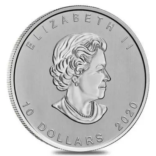 2 oz RCM Silver Goose Silver Coin - Misc Dated