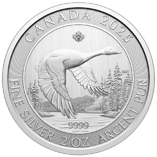 2 oz RCM Silver Goose Silver Coin - Misc Dated (3)