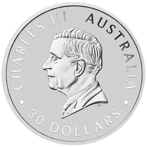 Australian 1 Kilo Silver Koala - 2024