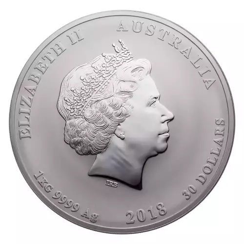 Australian 1 Kilo Silver Year of the Dog - 2018 (2)