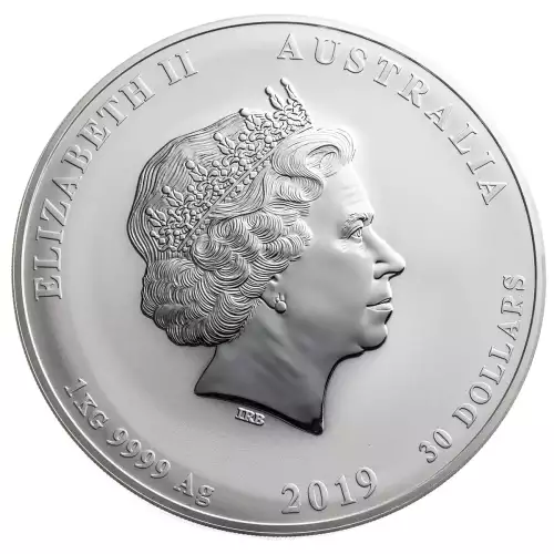 Australian 1 Kilo Silver Year of the Pig - 2019 (2)