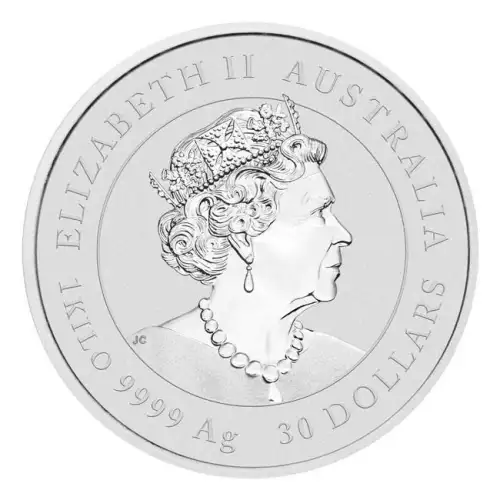 Australian 1 Kilo Silver Year of the Tiger - 2022  (2)