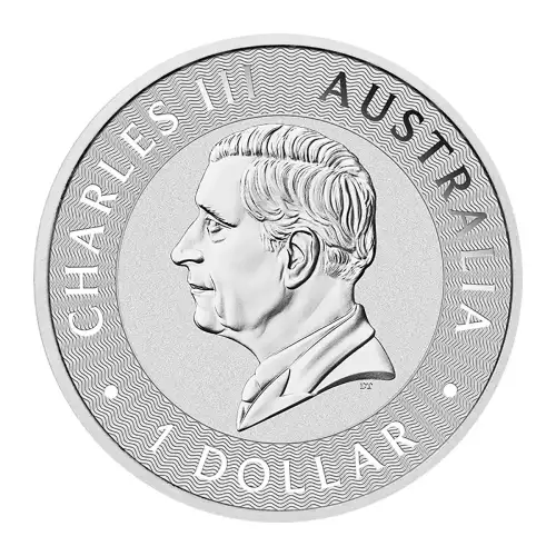 Australian 1oz Silver Kangaroo - 2024  (2)