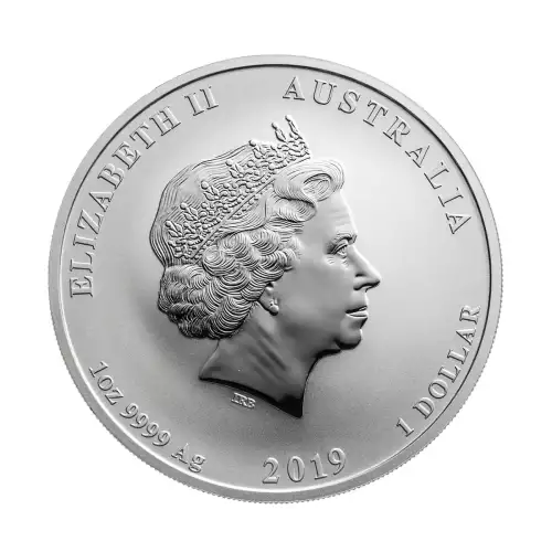 Australian 1oz Silver Year of the Pig - 2019 (4)