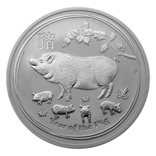 Australian 2oz Silver Year of the Pig - 2019 (2)