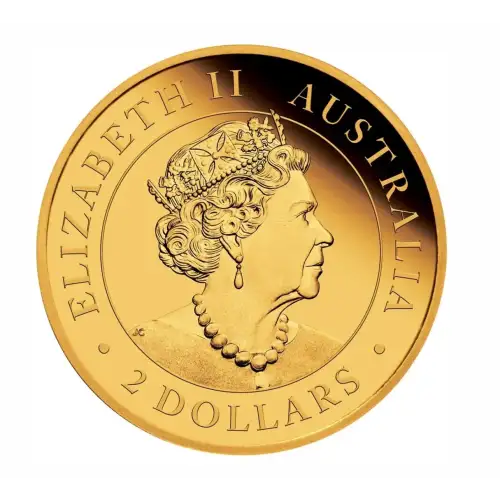 Australian Gold Mini Roo (Kangaroo), 0.5 gram - Backdated (6)