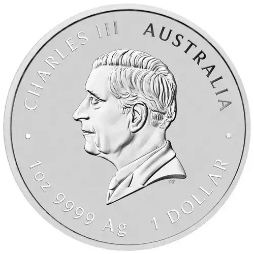 Australian Perth Mint Silver Lunar II: Year of the Snake, 1oz - 2025 (2)