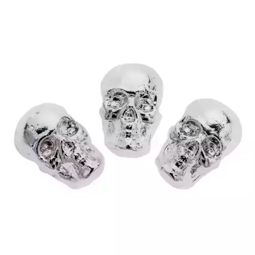 Beaver Bullion - 1 oz Silver Skull (2)