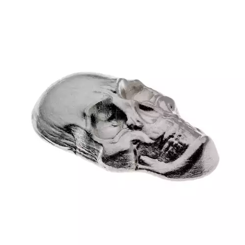 Beaver Bullion - 5 oz Silver Skull