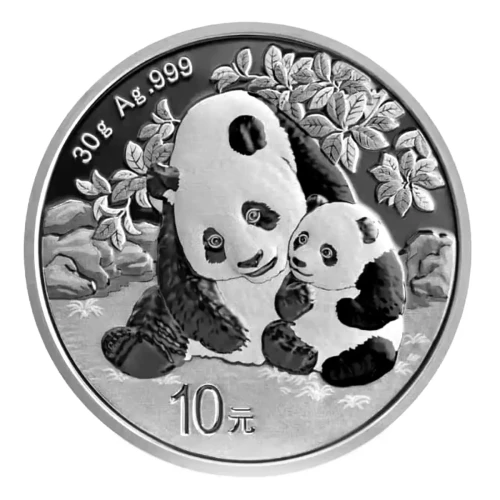 Chinese Silver Panda 30g - 2024  (2)