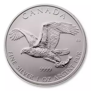 RCM 1oz Silver Birds of Prey Bald Eagle - 2014 (2)