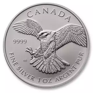 RCM 1oz Silver Birds of Prey Peregrine Falcon - 2014 (3)