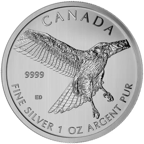 RCM 1oz Silver Birds of Prey Red Tailed Hawk - 2015 (2)