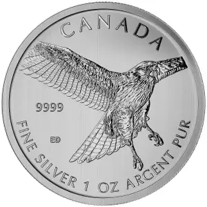 RCM 1oz Silver Birds of Prey Red Tailed Hawk - 2015 (2)