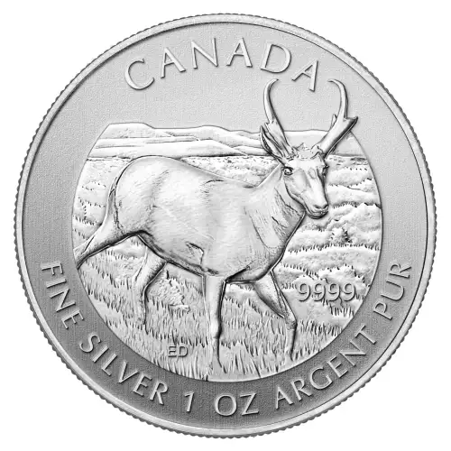 RCM 1oz Silver Wildlife  Antelope - 2013 (2)