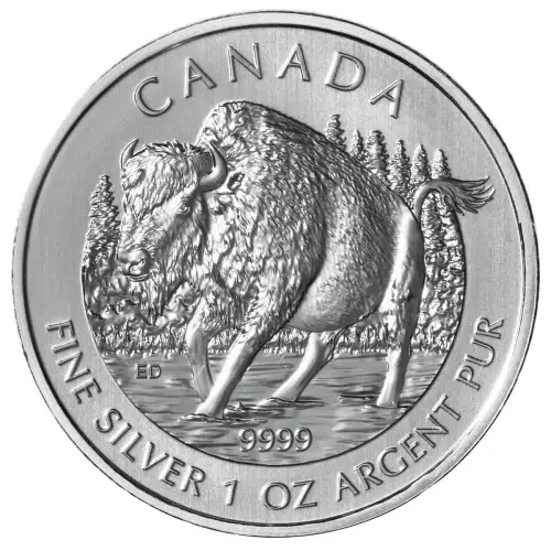 RCM 1oz Silver Wildlife Bison - 2013 (2)