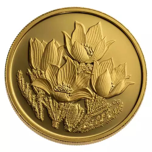 RCM $350 Provincial Floral Gold Coin (.99999), 1.125 oz - Misc Dated (2)