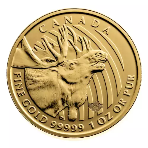 RCM Gold Coin (.99999), 1 oz - Moose - 2019 (2)