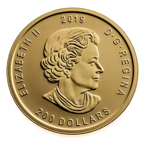 RCM Gold Coin (.99999), 1 oz - Moose - 2019 (4)