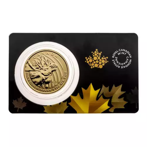 RCM Gold Coin (.99999), 1 oz - Moose - 2019 (3)