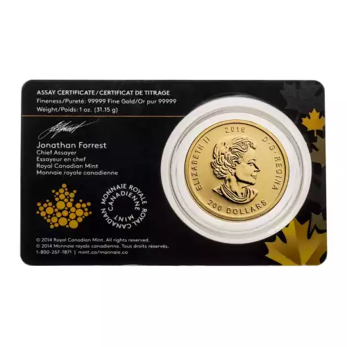 RCM Gold Coin (.99999), 1 oz - Roaring Grizzly - 2016 (5)