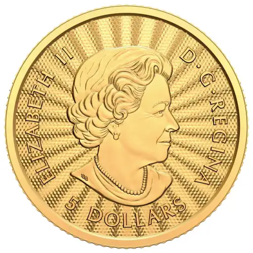 RCM Gold Coin - Majestic Polar Bear, 1/10 oz - Misc. Dated (3)