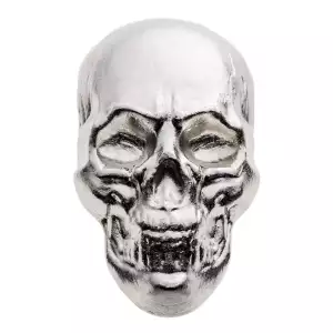 Beaver Bullion - 5 oz Silver Skull (3)