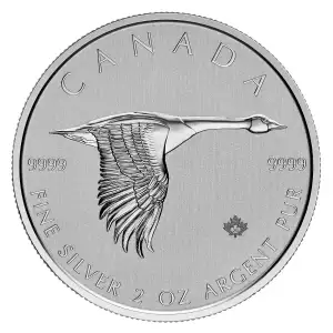 2 oz RCM Silver Goose Silver Coin - Misc Dated (4)