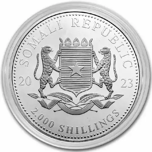 Somalian 1 Kilo Silver Leopard - 2023