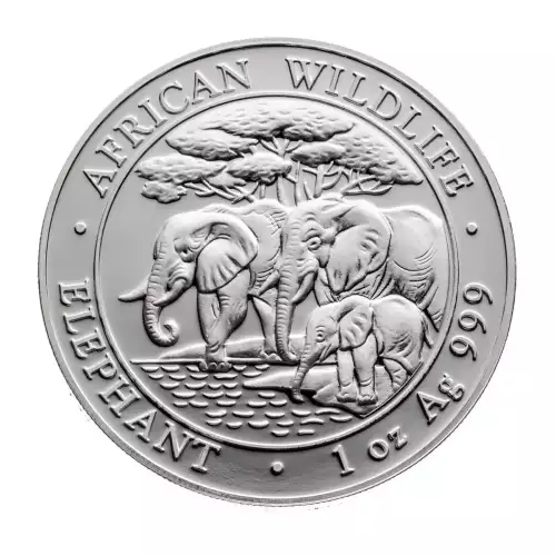 Somalian 1oz Silver Elephant - Misc. Dated