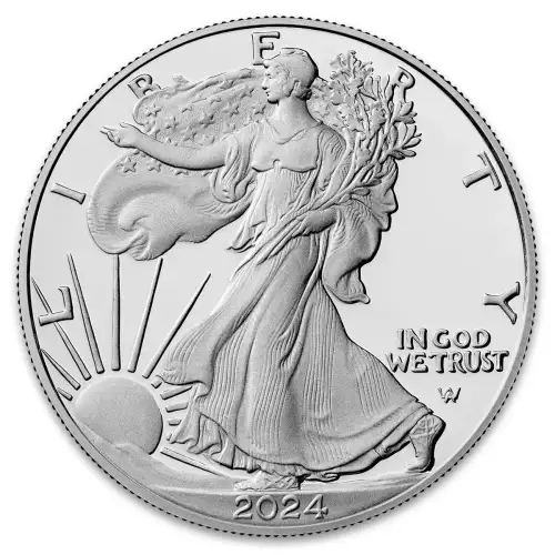 United States 1oz Silver American Eagle - 2024 / 2023 (2)